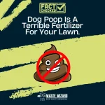 Louisville pet waste management