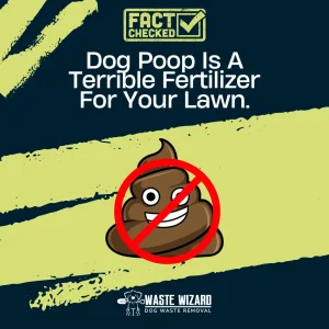 Is Dog Poop Good Fertilizer For Your Yard?